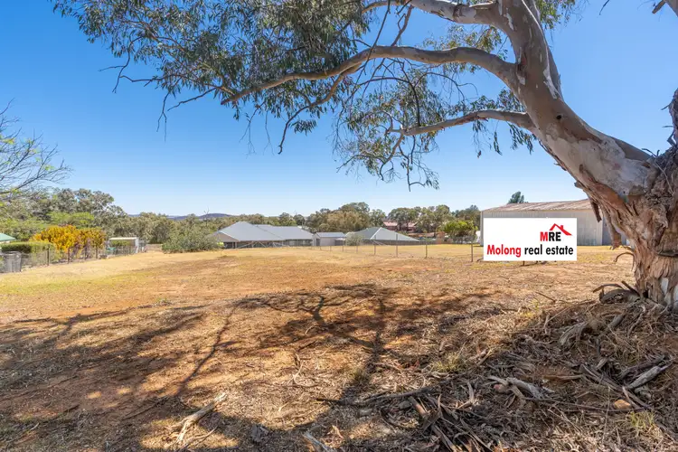 Second view of Homely land listing, 67 & 69 Park Street, Molong NSW 2866