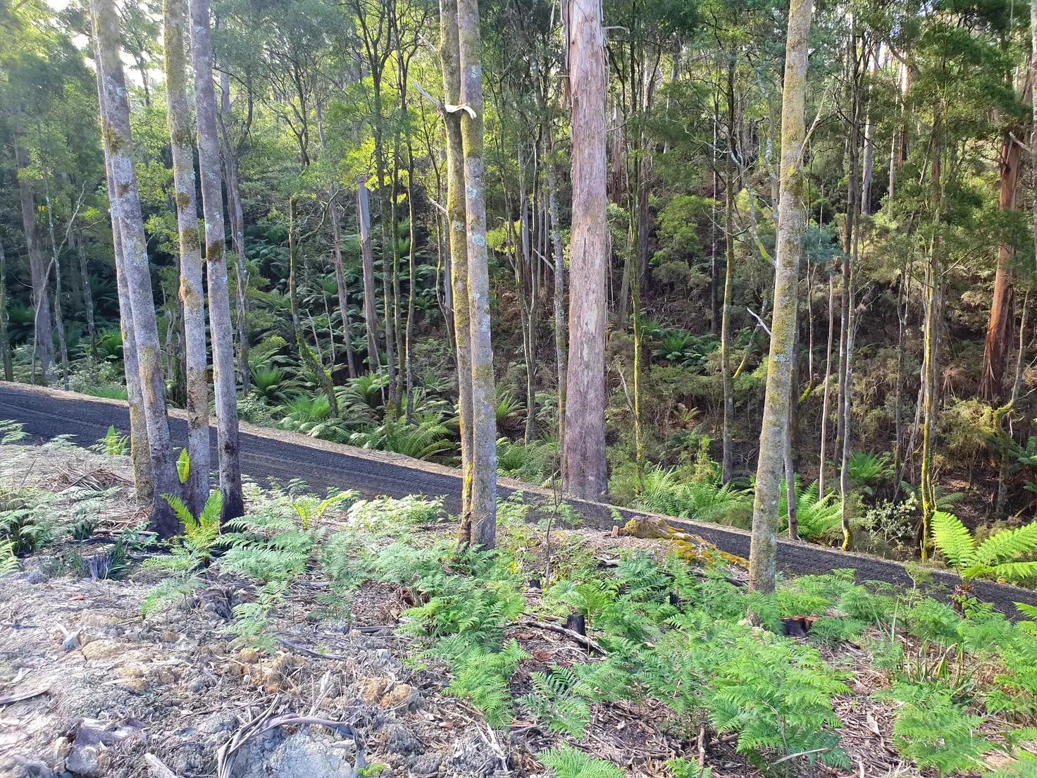 Main view of Homely land listing, 278 Reservoir Drive, Wynyard TAS 7325