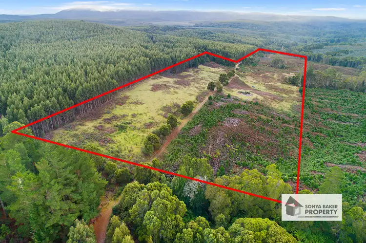 310 Meunna Road, Meunna TAS 7325