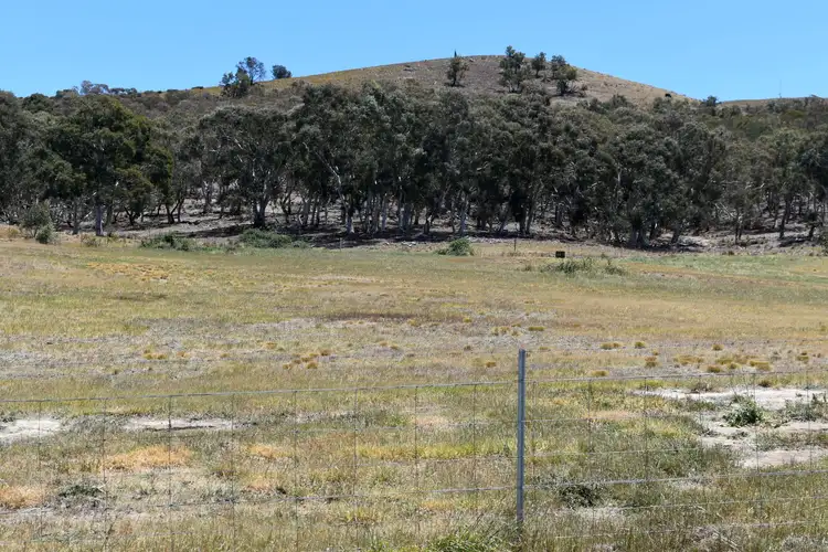 Seventh view of Homely land listing, 83 Mulwaree Street, Tarago NSW 2580