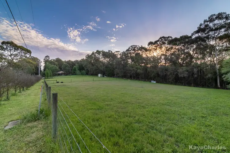 Fourth view of Homely rural property listing, 175 Beenak Road, Gembrook VIC 3783