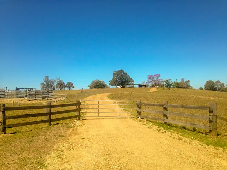 Second view of Homely rural property listing, 204 Khatabundah Road, Wingham NSW 2429