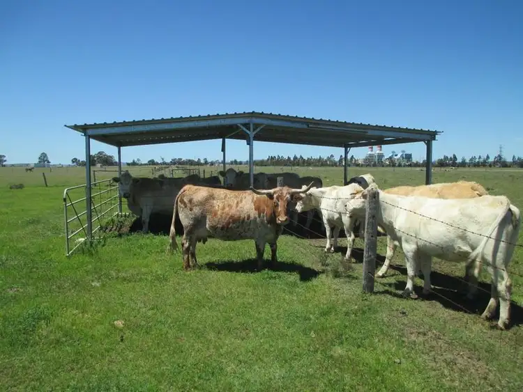 Sixth view of Homely land listing, 12711 Warrego Highway, Oakey QLD 4401