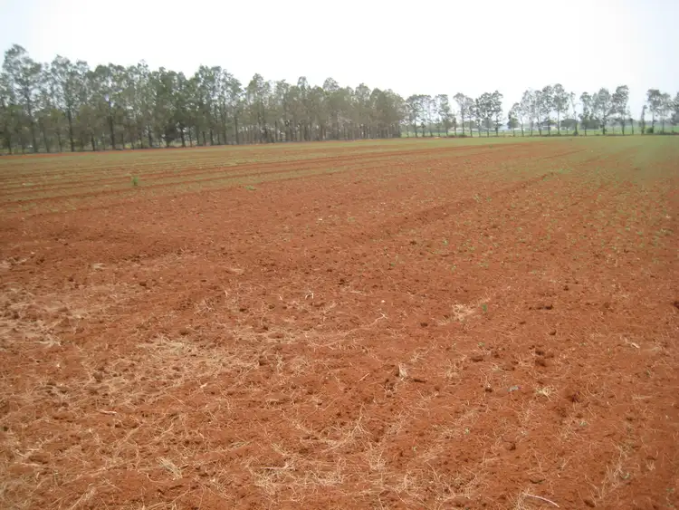 Seventh view of Homely rural property listing, 2391 Gin Gin Road, South Kolan QLD 4670