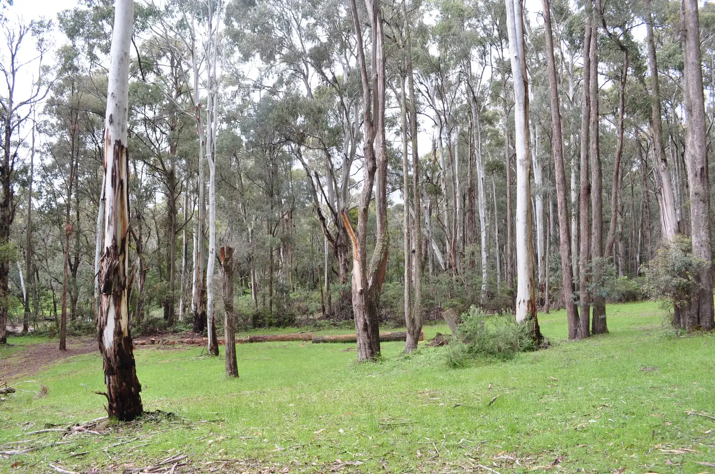 Main view of Homely land listing, 265 Tolmie-Mahaikah Road, Tolmie VIC 3723