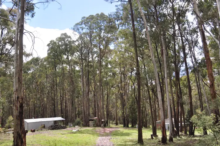 Second view of Homely land listing, 265 Tolmie-Mahaikah Road, Tolmie VIC 3723
