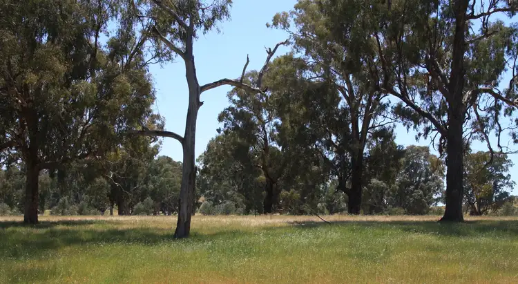 Third view of Homely land listing, 41 Lawsons Lane, Mansfield VIC 3722
