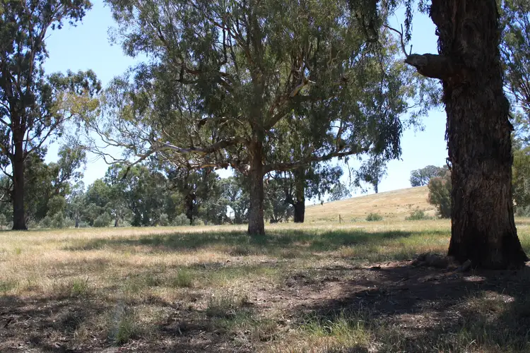 Fifth view of Homely land listing, 41 Lawsons Lane, Mansfield VIC 3722