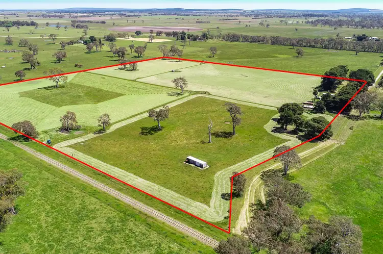Main view of Homely rural property listing, 58 Buddle Lane, Kalangadoo SA 5278