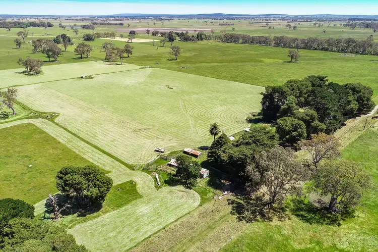 Second view of Homely rural property listing, 58 Buddle Lane, Kalangadoo SA 5278