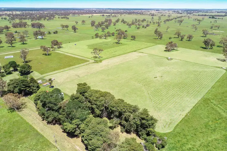 Third view of Homely rural property listing, 58 Buddle Lane, Kalangadoo SA 5278
