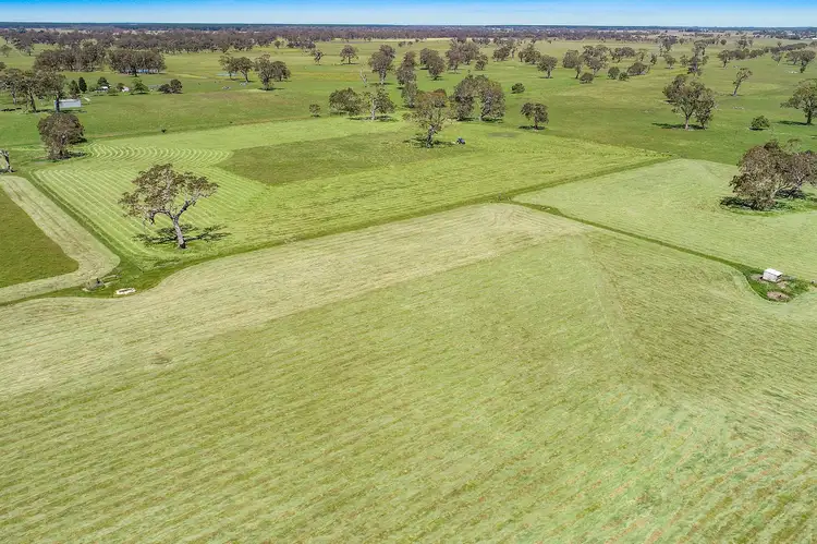 Seventh view of Homely rural property listing, 58 Buddle Lane, Kalangadoo SA 5278