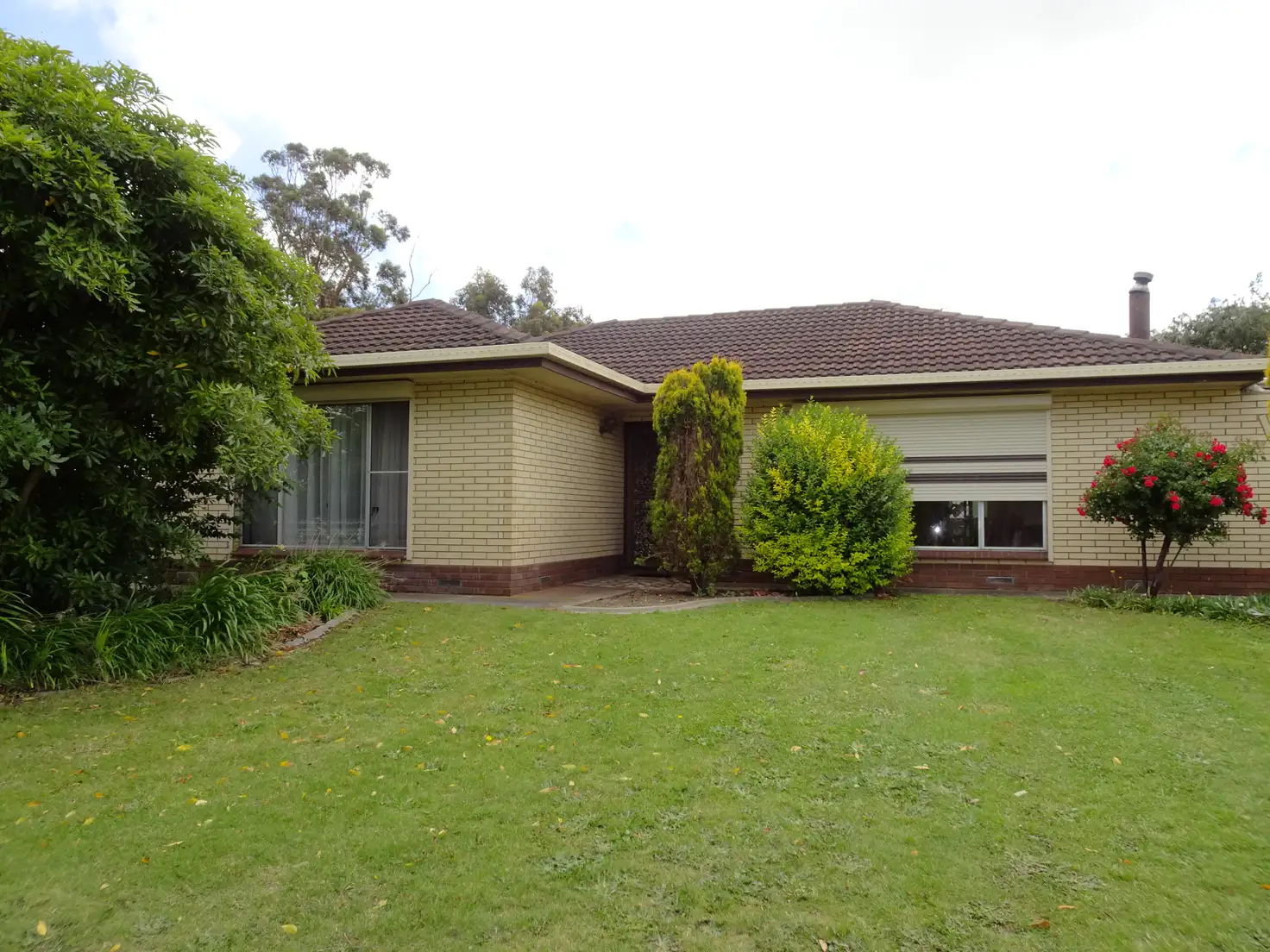 Main view of Homely house listing, 165 MOUNT GAMBIER ROAD, Millicent SA 5280