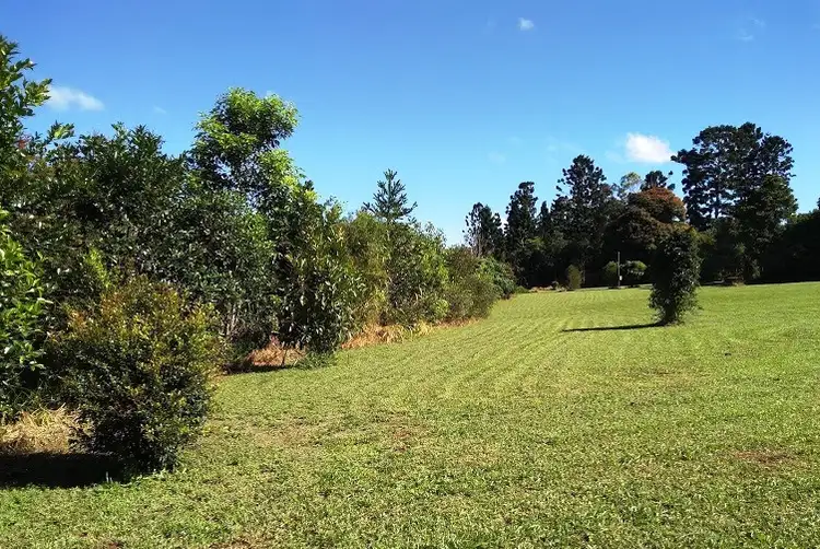 Sixth view of Homely rural property listing, 271 Lake Barrine Road, Malanda QLD 4885