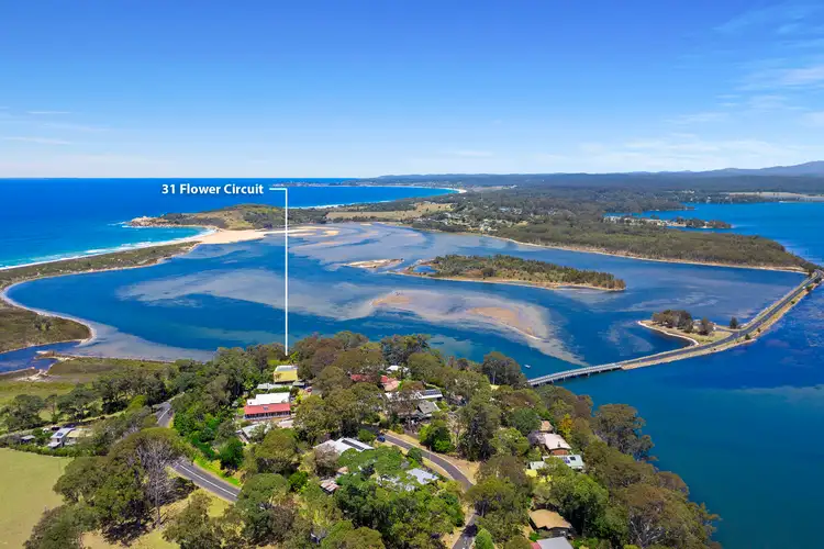 Second view of Homely house listing, 31 Flower Circuit, Akolele NSW 2546