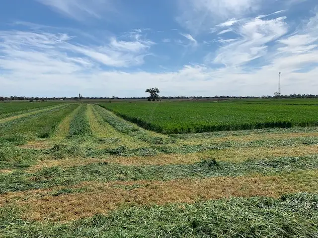 Main view of Homely rural property listing, Wilson Rd, Koyuga VIC 3622