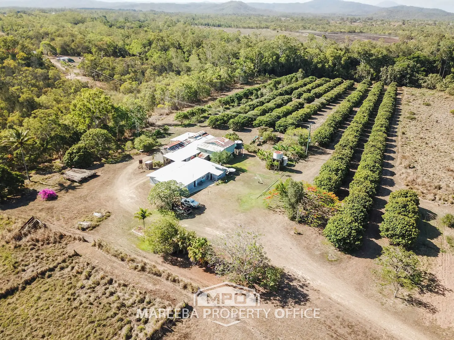 Main view of Homely rural property listing, 51 Wright Road, Koah QLD 4881