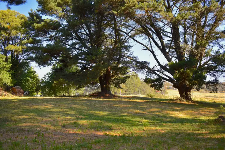 Sixth view of Homely house listing, 2000 Jenolan Caves Road, Hampton NSW 2790