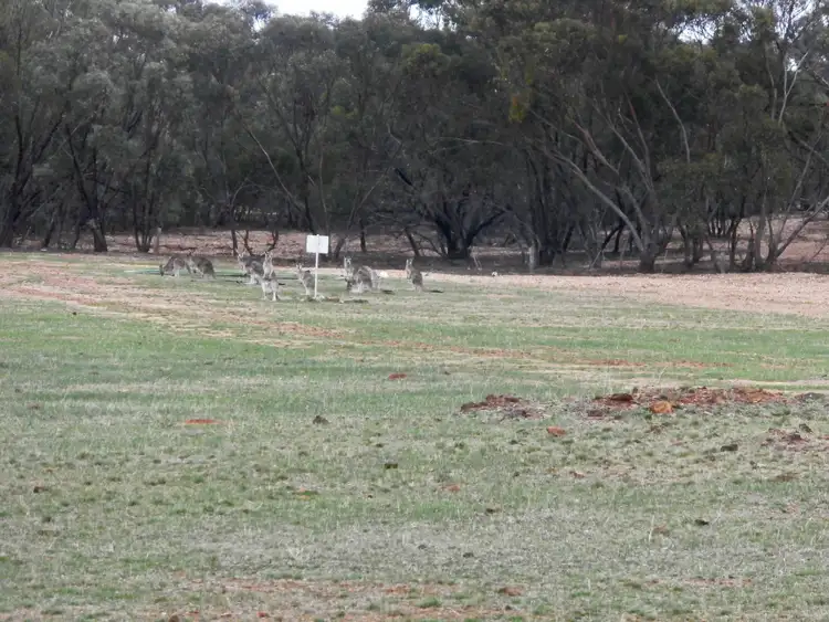 Fifth view of Homely land listing, 126 Nine Mile South Road, Wedderburn VIC 3518