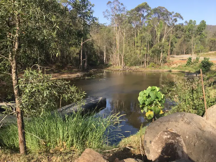 Sixth view of Homely rural property listing, 464 Beaudesert Nerang Road, Maudsland QLD 4210