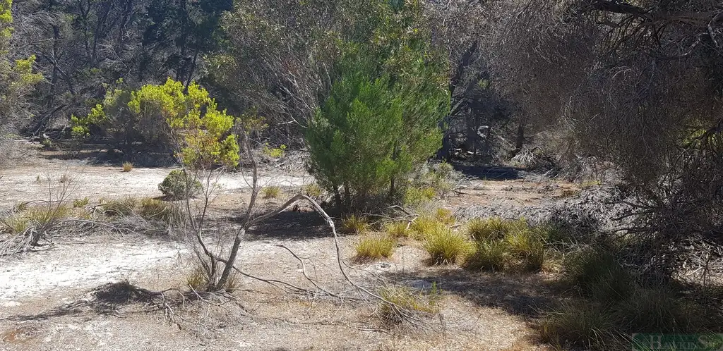 Main view of Homely land listing, Section 162 Mitchell Drive, Pelican Lagoon SA 5222