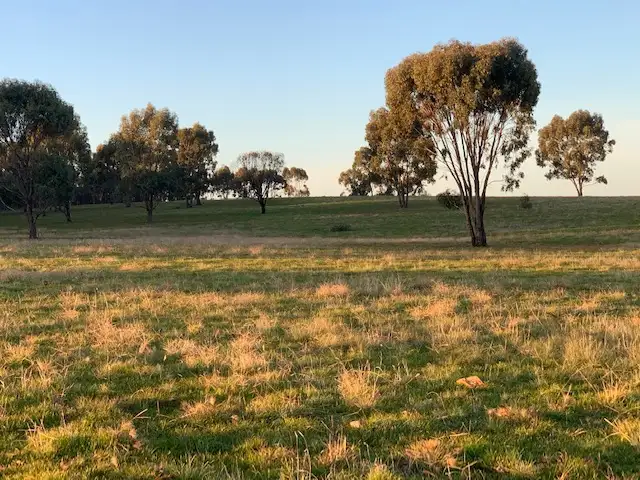 Main view of Homely land listing, 3176 Hanrahan Road, Corop VIC 3559