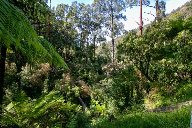 Fifth view of Homely land listing, 430 Myers Creek Road, Healesville VIC 3777