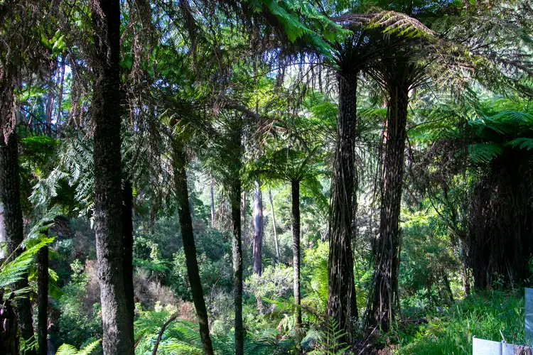 Seventh view of Homely land listing, 430 Myers Creek Road, Healesville VIC 3777