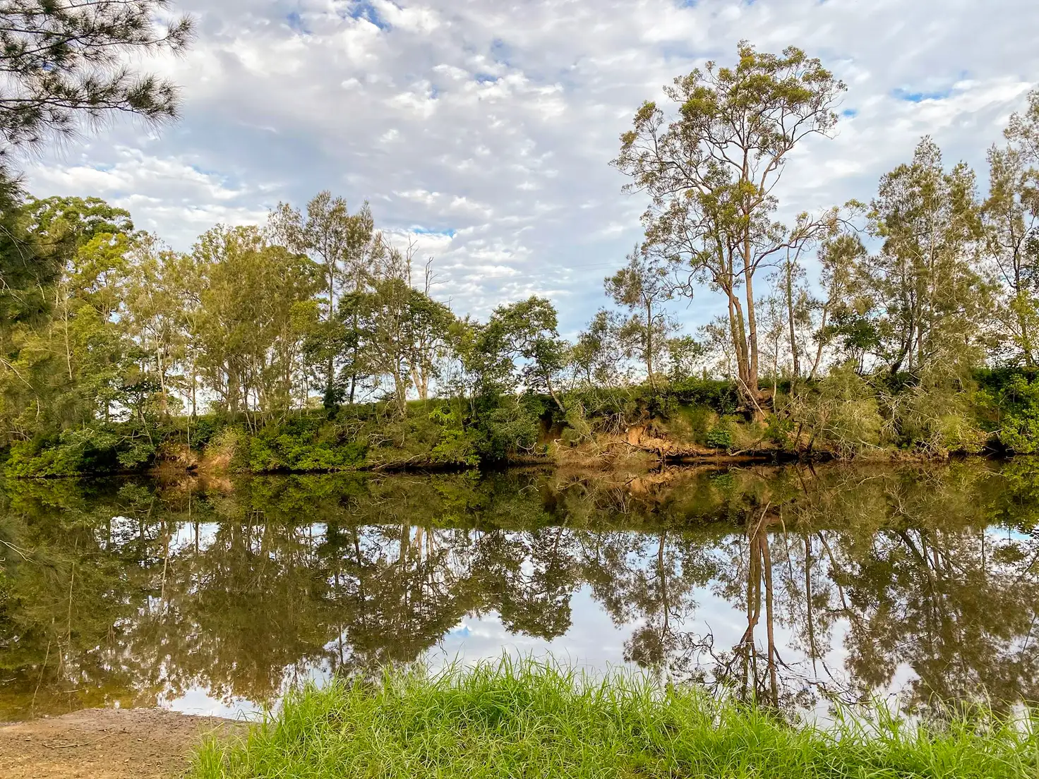 Main view of Homely rural property listing, 1B East Lansdowne Road, Lansdowne NSW 2430