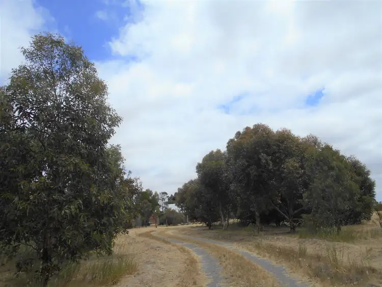 Sixth view of Homely rural property listing, 4 Island Street, Clunes VIC 3370