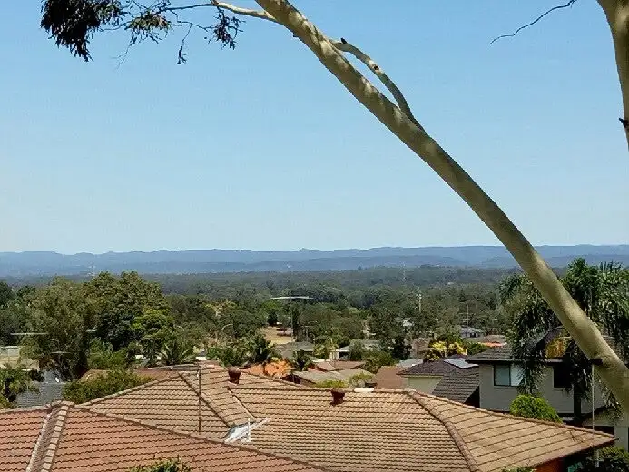 Third view of Homely house listing, 25 Harvey Circuit, St Clair NSW 2759