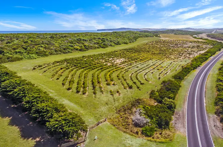 Third view of Homely rural property listing, Lot 1 Bridgewater Road, Cape Bridgewater VIC 3305