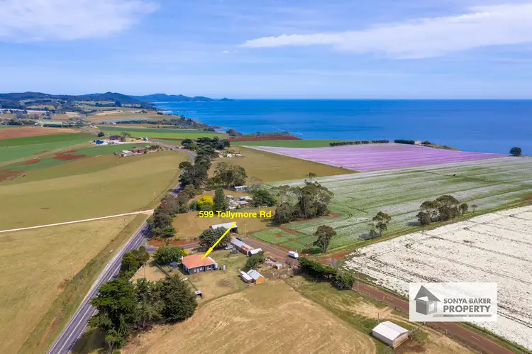 599 Tollymore Road, Table Cape TAS 7325