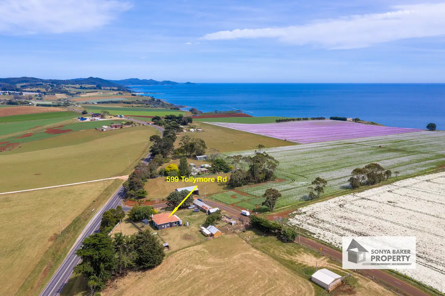 Main view of Homely rural property listing, 599 Tollymore Road, Table Cape TAS 7325