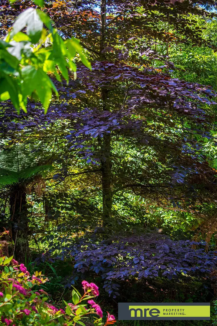 Sixth view of Homely land listing, 8 Poets Lane, Sherbrooke VIC 3789