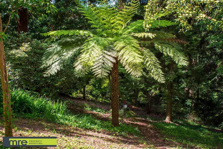 Seventh view of Homely land listing, 8 Poets Lane, Sherbrooke VIC 3789