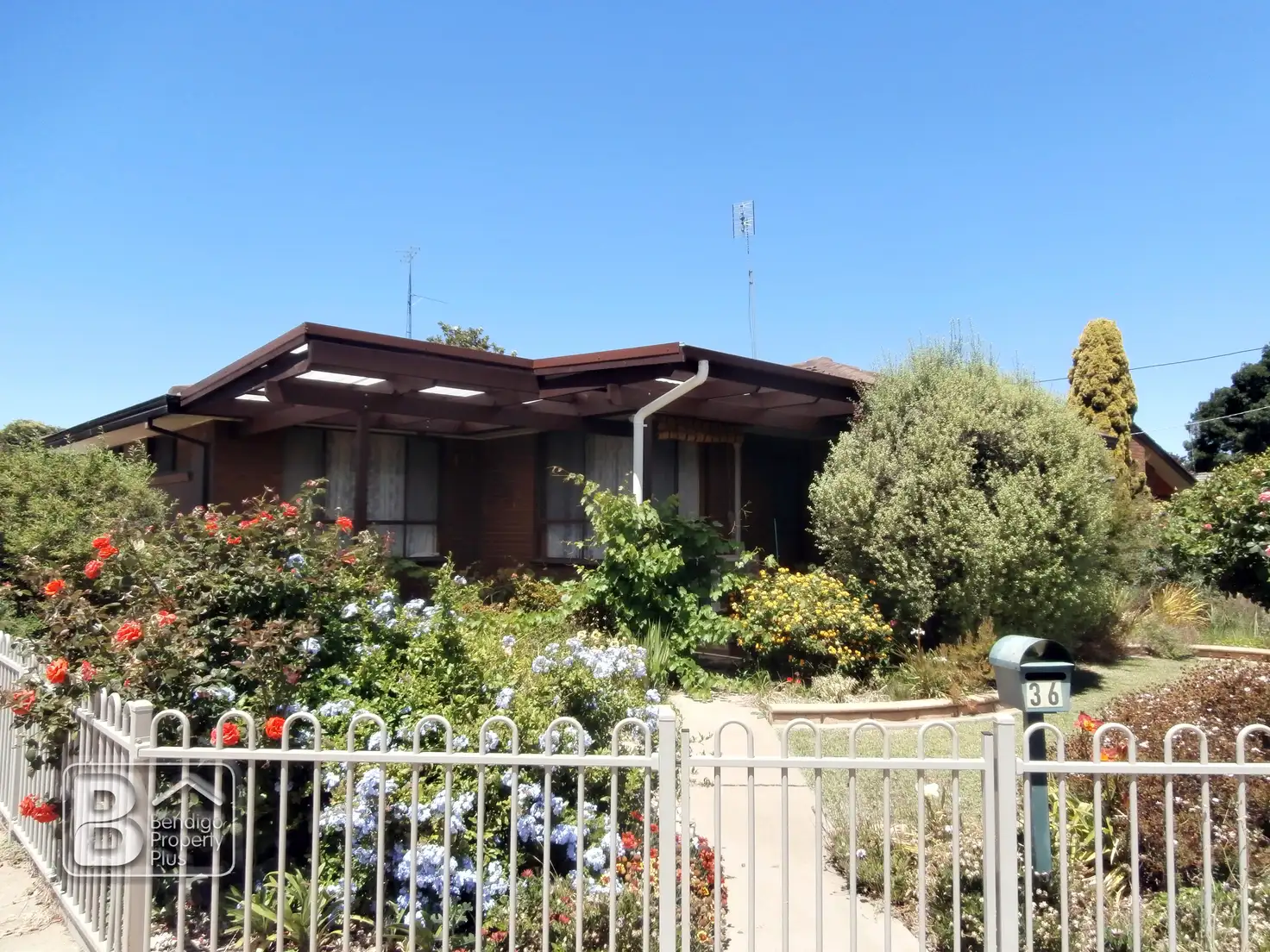 Main view of Homely house listing, 36 Hall Street, Cohuna VIC 3568