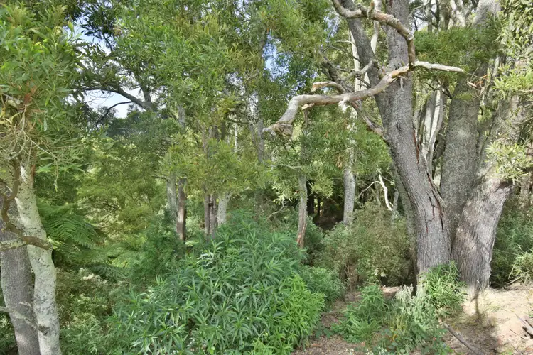 Fifth view of Homely land listing, 976 Foster-Mirboo Road, Dollar VIC 3871