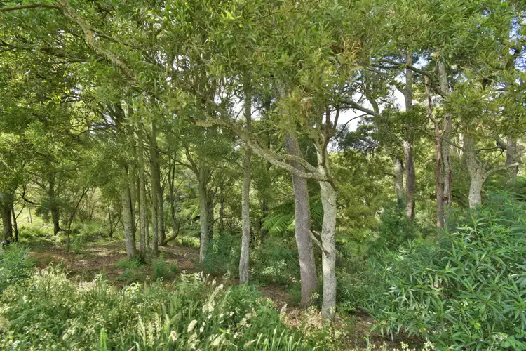 Sixth view of Homely land listing, 976 Foster-Mirboo Road, Dollar VIC 3871