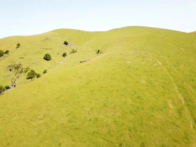 Second view of Homely rural property listing, 4805 South Gippsland Highway, Toora VIC 3962