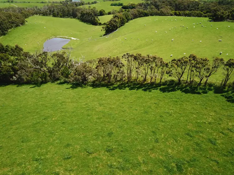 Seventh view of Homely rural property listing, 895 Waratah Road, Fish Creek VIC 3959