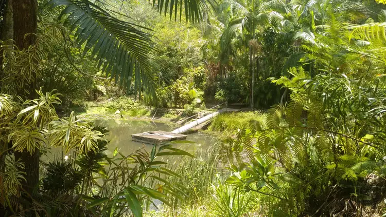 Main view of Homely rural property listing, 39 Gees Road, Eerwah Vale QLD 4562