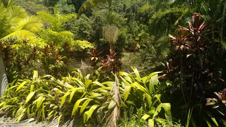 Seventh view of Homely rural property listing, 39 Gees Road, Eerwah Vale QLD 4562