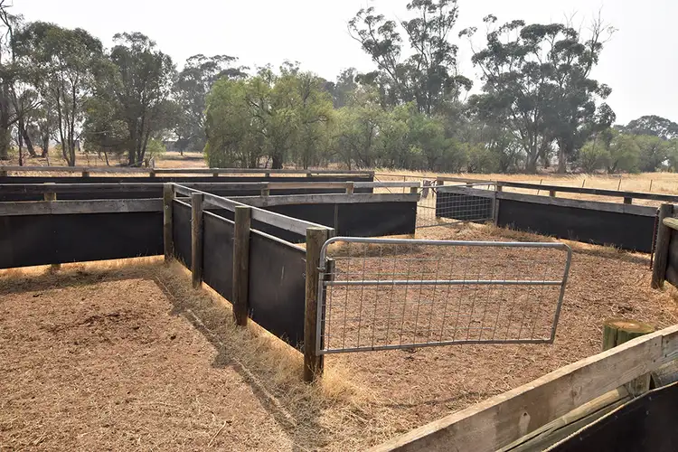 Fourth view of Homely rural property listing, 158 Tinklers Road, Picola VIC 3639