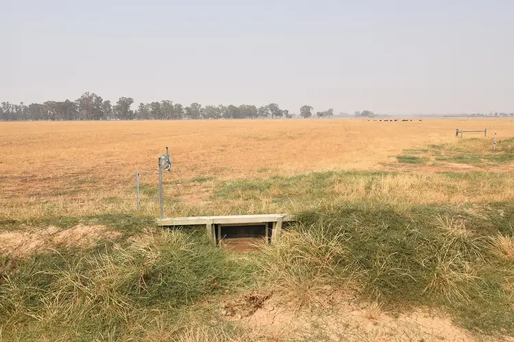 Sixth view of Homely rural property listing, 158 Tinklers Road, Picola VIC 3639