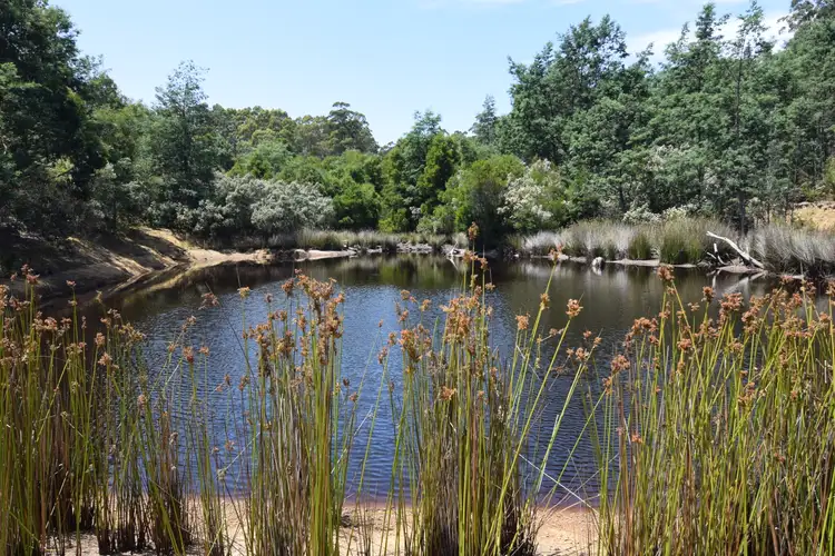 Main view of Homely land listing, 201 Pages Road, Calder TAS 7325