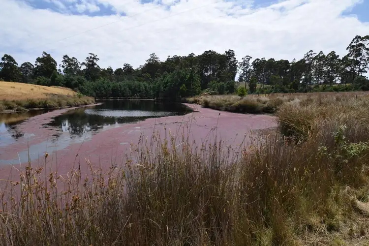 Fourth view of Homely land listing, 201 Pages Road, Calder TAS 7325