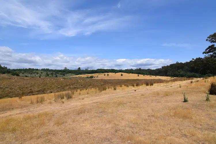 Fifth view of Homely land listing, 201 Pages Road, Calder TAS 7325