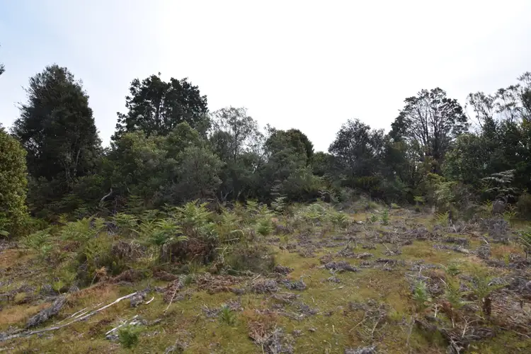 Sixth view of Homely land listing, 201 Pages Road, Calder TAS 7325