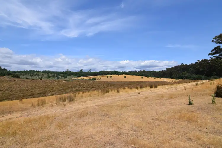 Sixth view of Homely rural property listing, 201 Pages Road, Calder TAS 7325